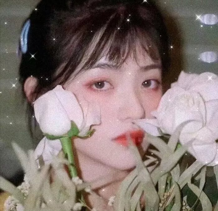 佛系养生闺女吴昕封面