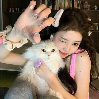 猛龙战警封面