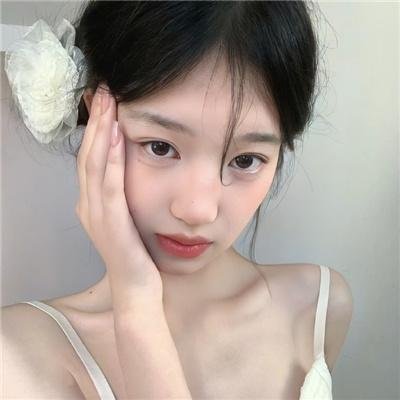 富贵吉娃娃封面
