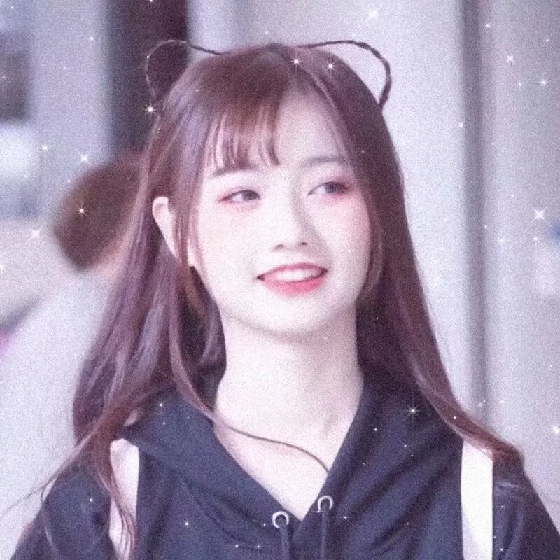 破产姐妹第三季封面